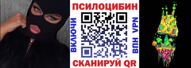 Псилоцибиновые грибы Psilocybe  Куровское 