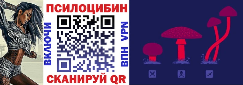 Псилоцибиновые грибы Psilocybine cubensis Куровское