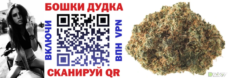 магазин  наркотиков  Куровское  Конопля семена 